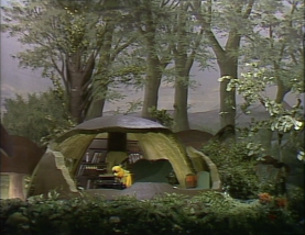 Lexis Pilz, 1981.